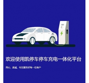 凯停车平